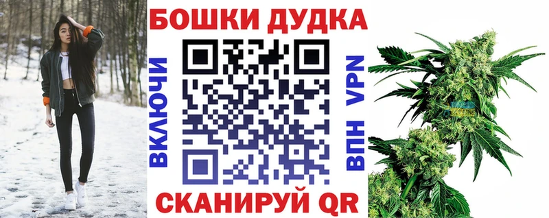 Купить закладки  Славск  Конопля Bruce Banner 